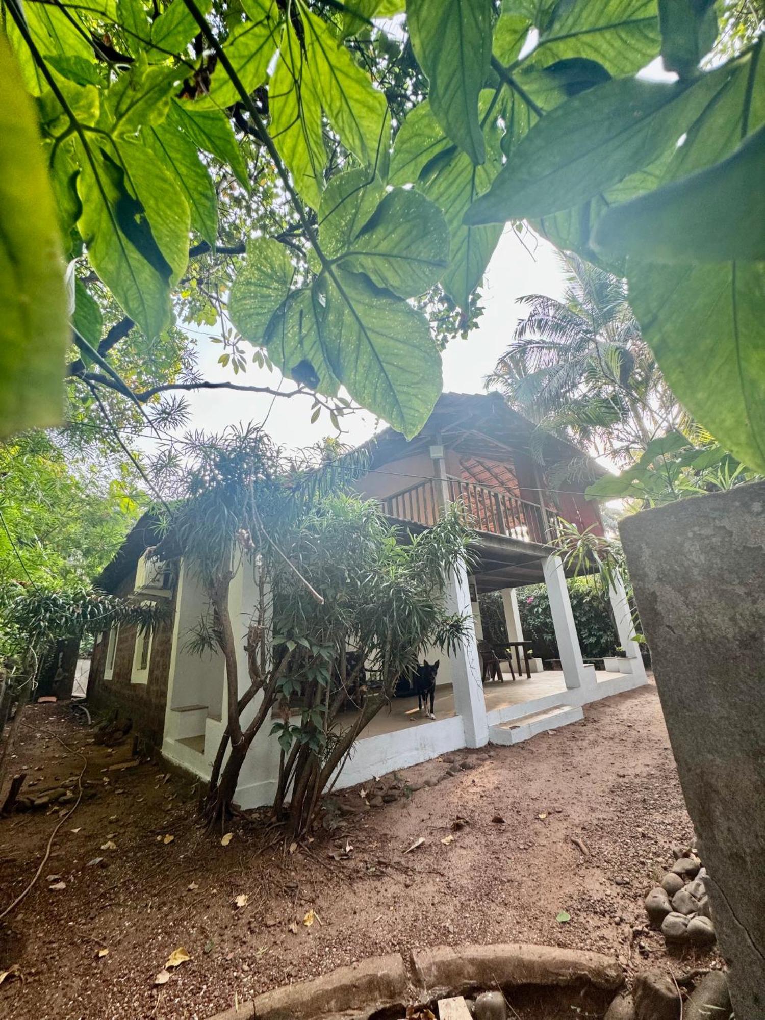 The Sunset Chalet Anjuna Luaran gambar